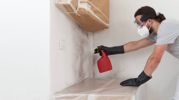 Professional Basement Mold Removal technician working in Mercersburg, PA