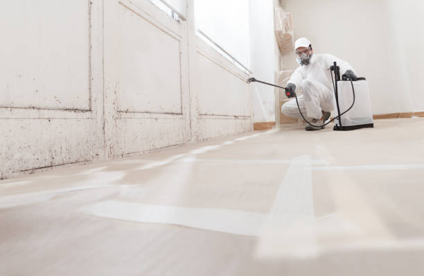 24/7 Emergency Basement Mold Removal experts in Mercersburg, PA