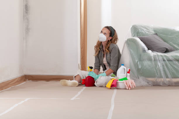 Reliable Basement Mold Removal contractor in Mercersburg, PA by WQB Mold Removal